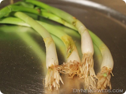 grow-green-onions