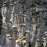 Waterfall Hike Clark Creek Sept 23, 2012 - IMG_0072.JPG
