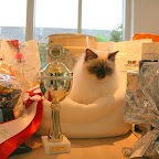 2007-hobbyudstilling 049.jpg