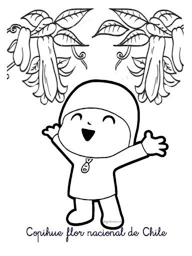 pocoyo gallos