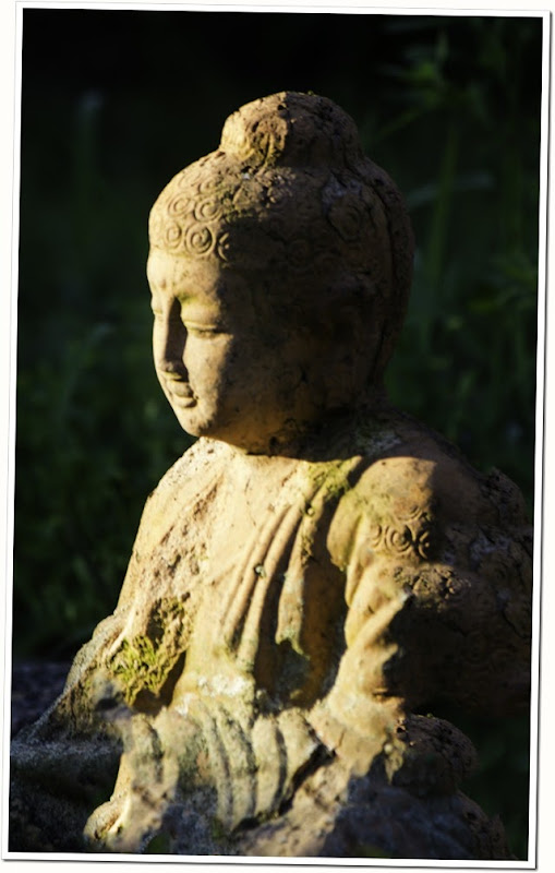 morning light on the Budda