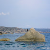 cormoran