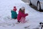 IMGP4656.jpg IMGP4656.jpg