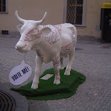 Europe Trip - Cows - cow10.JPG
