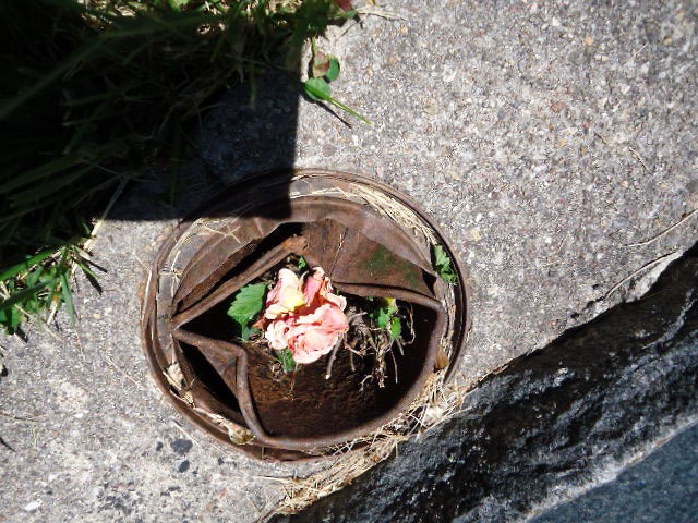 [DSC04017_edited14.jpg]