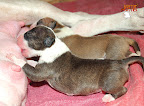 Boy 4 - 2 days