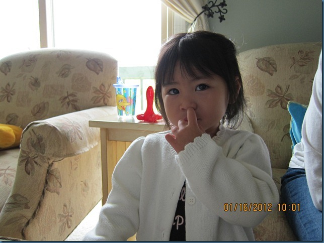 wk104_pick_a_nose
