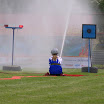 DSC_0176.NEF.jpg