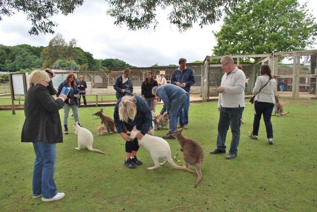 [DSC_0816%255B5%255D.jpg]