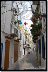 Pe&ntilde;iscola (35)