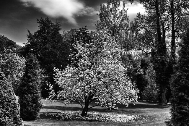 2013-04-30-10-38-20-28654-Edit
