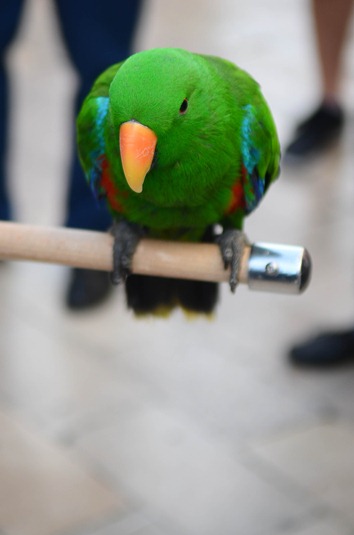 [Old%2520Town21%255B4%255D.jpg]