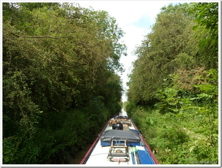 SAM_2163 Fenny Tunnel SAM_2163 Fenny Tunnel