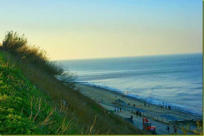 Cromer clifftop