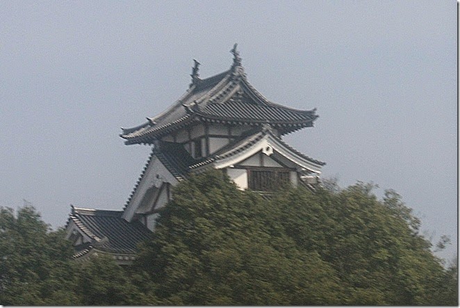 IMG_4016 IMG_4016