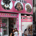 yuko at baby doll doggy store in Tokyo, Japan 