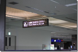 IMG_5382 IMG_5382