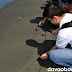 Turtle race! Bloggers pit young sea turtles against each other, as the youngsters head to the waters.
