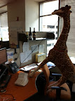 Like Manhattan in "I Am Legend" Wild Animals Have Taken Over the Office