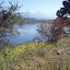 Bonelli April 2012 Bonelli April 2012