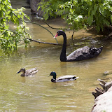 _MG_2481.jpg