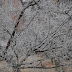DSLR Filtre: polarizare & ND4/ND8 D60 Polarizare Diverse%252520%2525287%252529 DSLR Filtre: polarizare & ND4/ND8