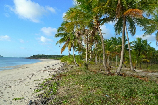 torres strait
