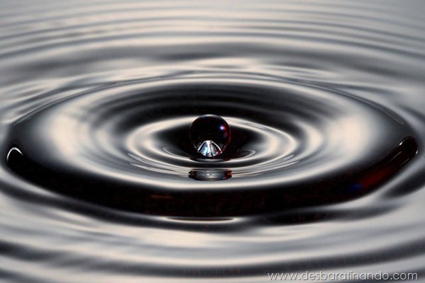 liquid-drop-art-gotas-caindo-foto-velocidade-hora-certa-desbaratinando (119) liquid-drop-art-gotas-caindo-foto-velocidade-hora-certa-desbaratinando (119)