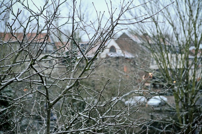 Snow 1