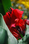 DSC_8541.jpg