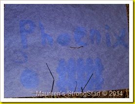 IMG_2659 IMG_2659