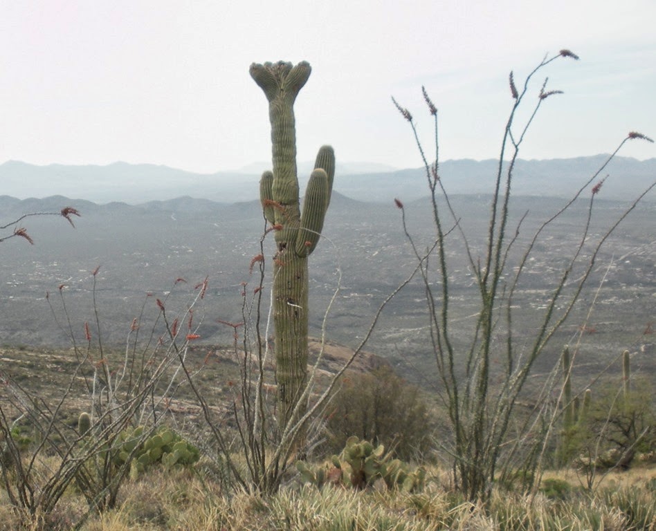 [DSCN2227%255B4%255D.jpg]