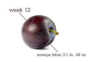Week12