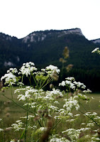 IMG_9736.JPG Photo