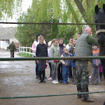 IMGP0250.JPG