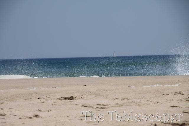[Hunter%2527s%2520Beach%2520Birthday%2520078%255B3%255D.jpg]