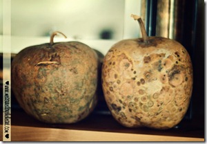 apple gord 3