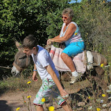 IMG_4414.JPG