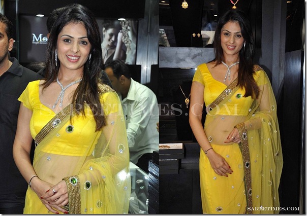 Anjana_Sukhani_Shimmer_Saree