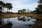 IMG_5015.JPG