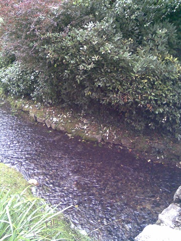 [Image273%255B3%255D.jpg]