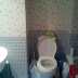2011-10-12 10.08.23.jpg