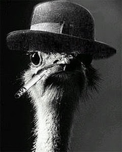 [struzzo_in_doppiopetto%255B1%255D.jpg]