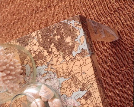 The coloring of this map is what speaks to me. (Martha Stewart Living, February 2001)