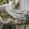 IMGP7377.JPG