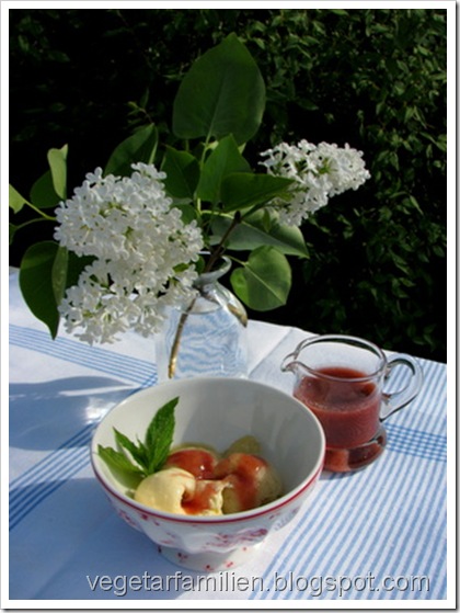 rabarbrasorbet med rabarbrasirup - bara bra!