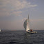 Regata 420