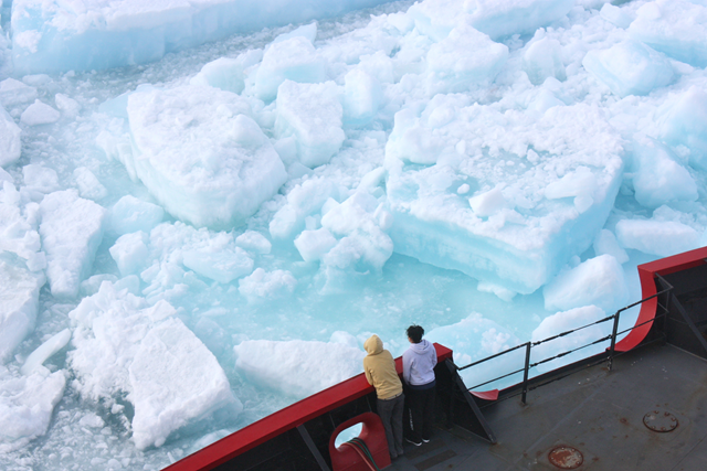 Scientists watch from the deck of the U.S. Coast Guard Cutter 'Healy' as it cuts through multiyear sea ice in the Arctic Ocean on 6 July 2011. Photo: Kathryn Hansen / NASA