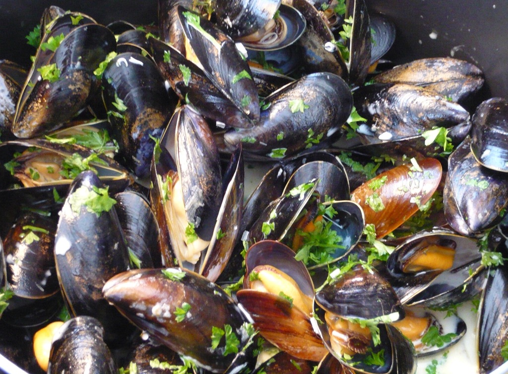 [moules4%255B8%255D.jpg]