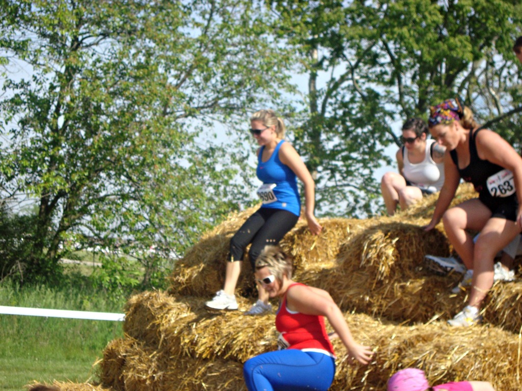 [haystacks%255B4%255D.jpg]